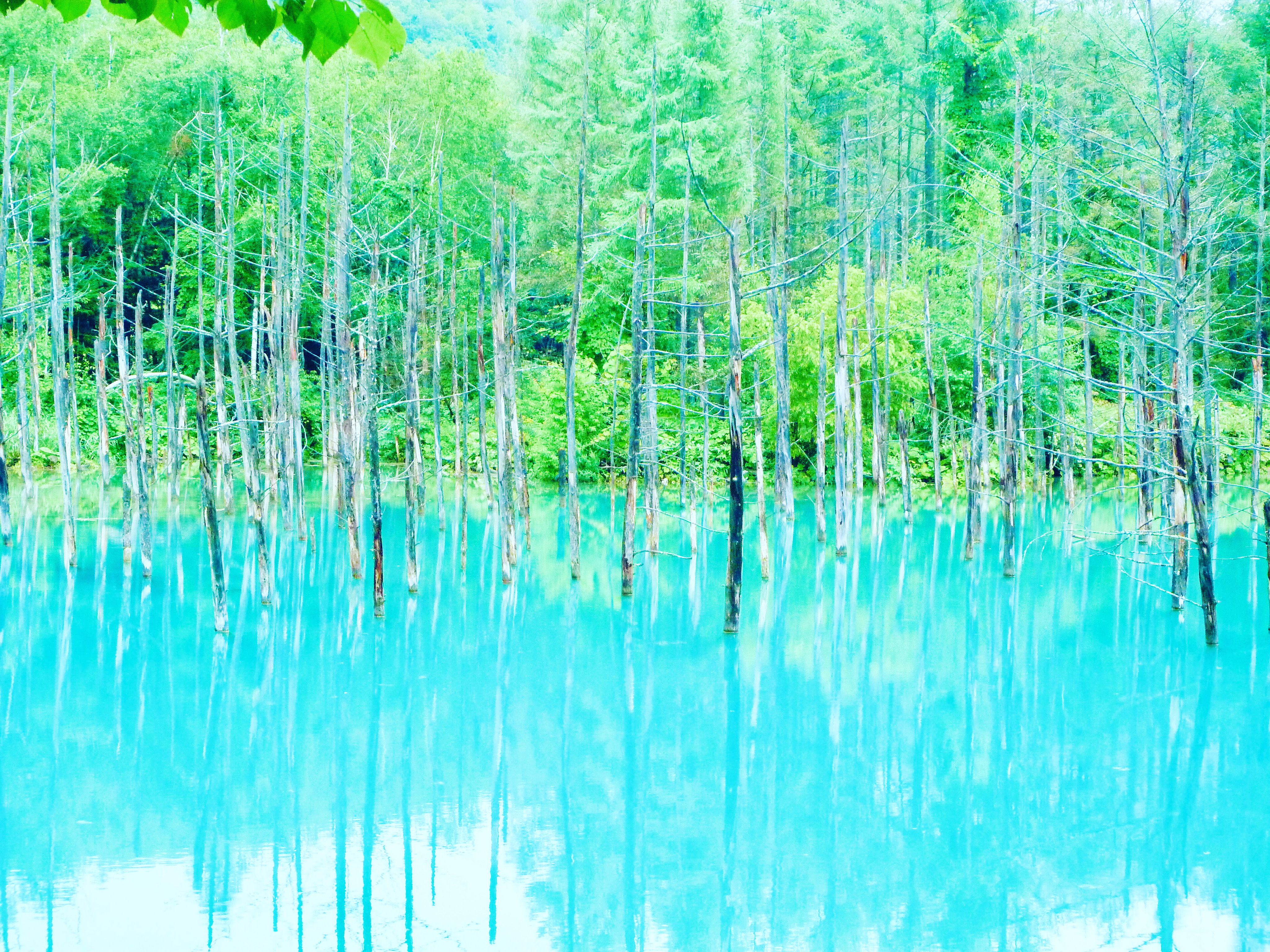Blue Pond Hokkaido Japan