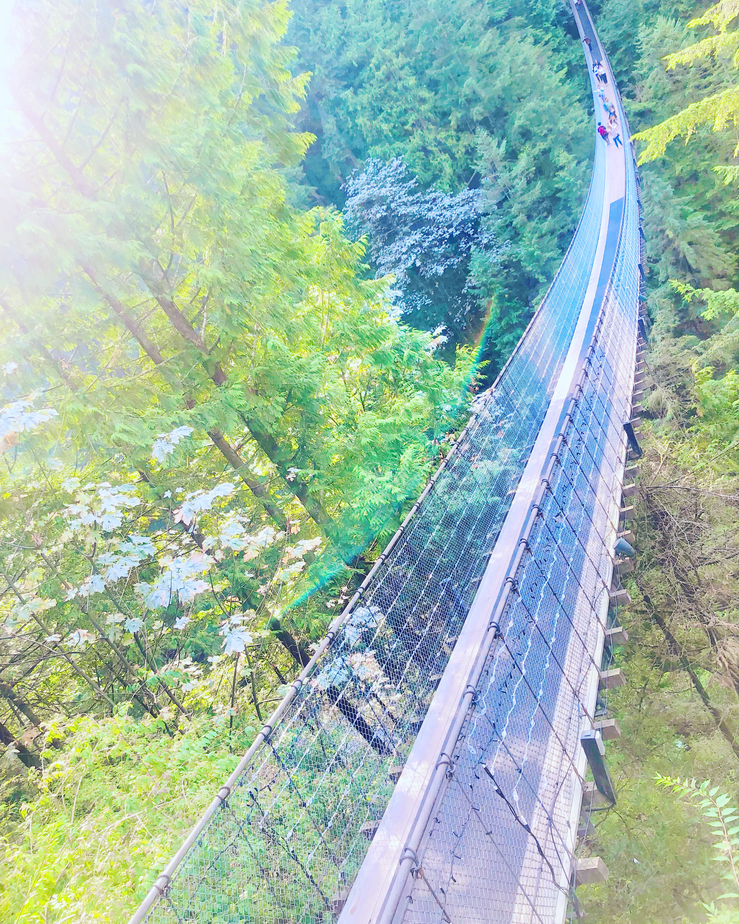Capilano Suspension Bridge Vancouver