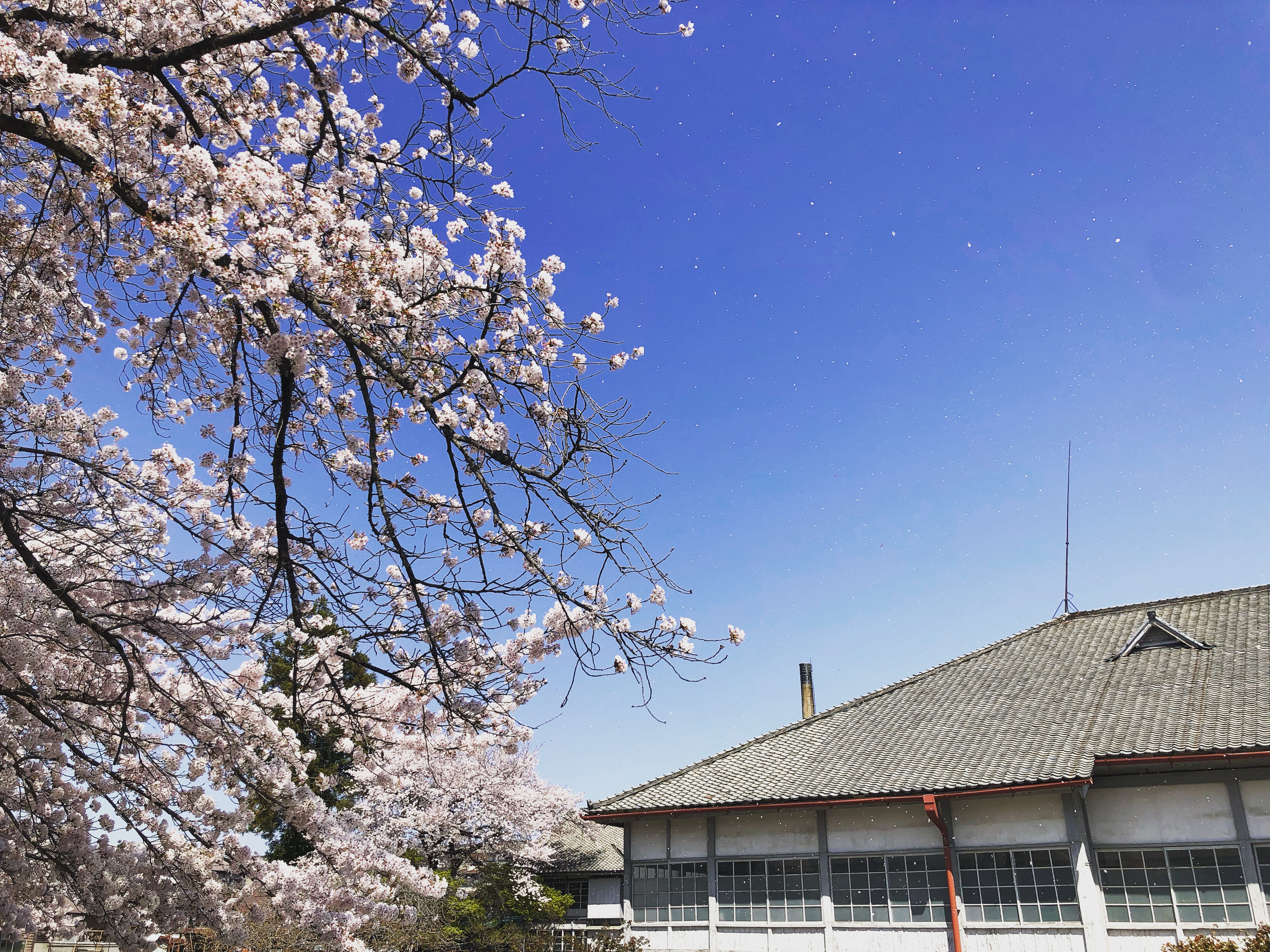 Tomioka Silk Mill Japan