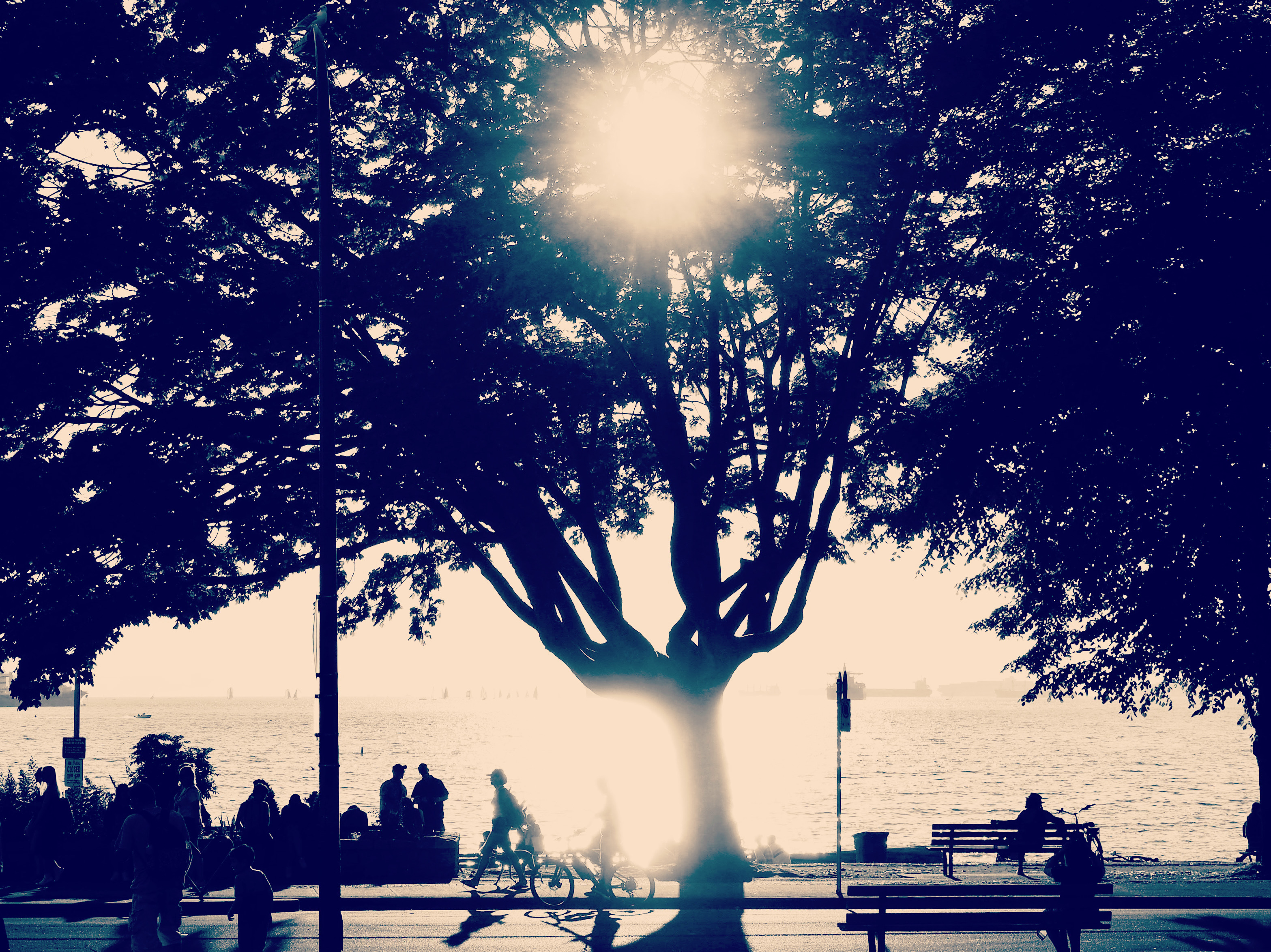 Vancouver Waterfront