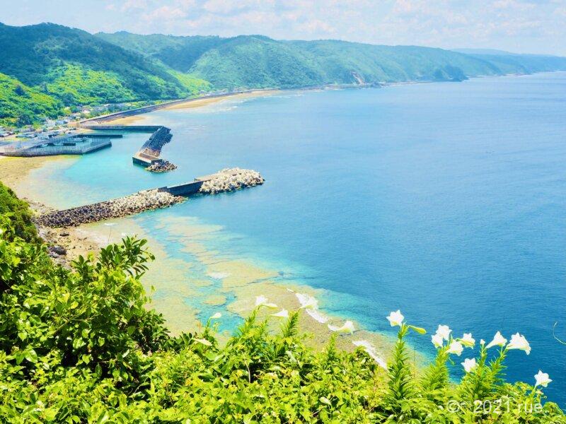 沖縄県の茅打バンタと白百合